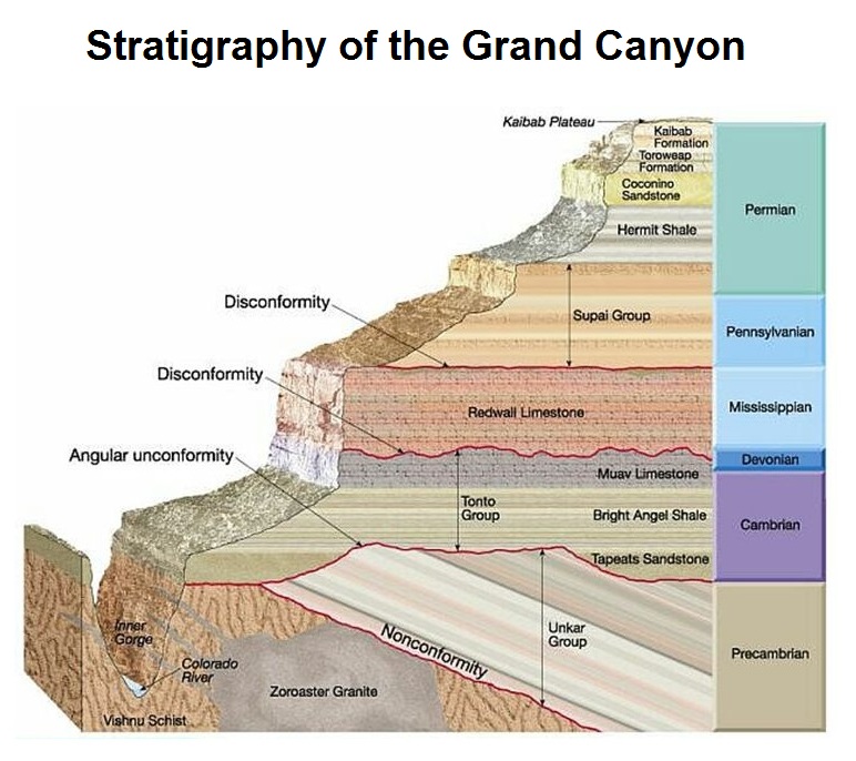 Stratigraphy of the Grand Canyon